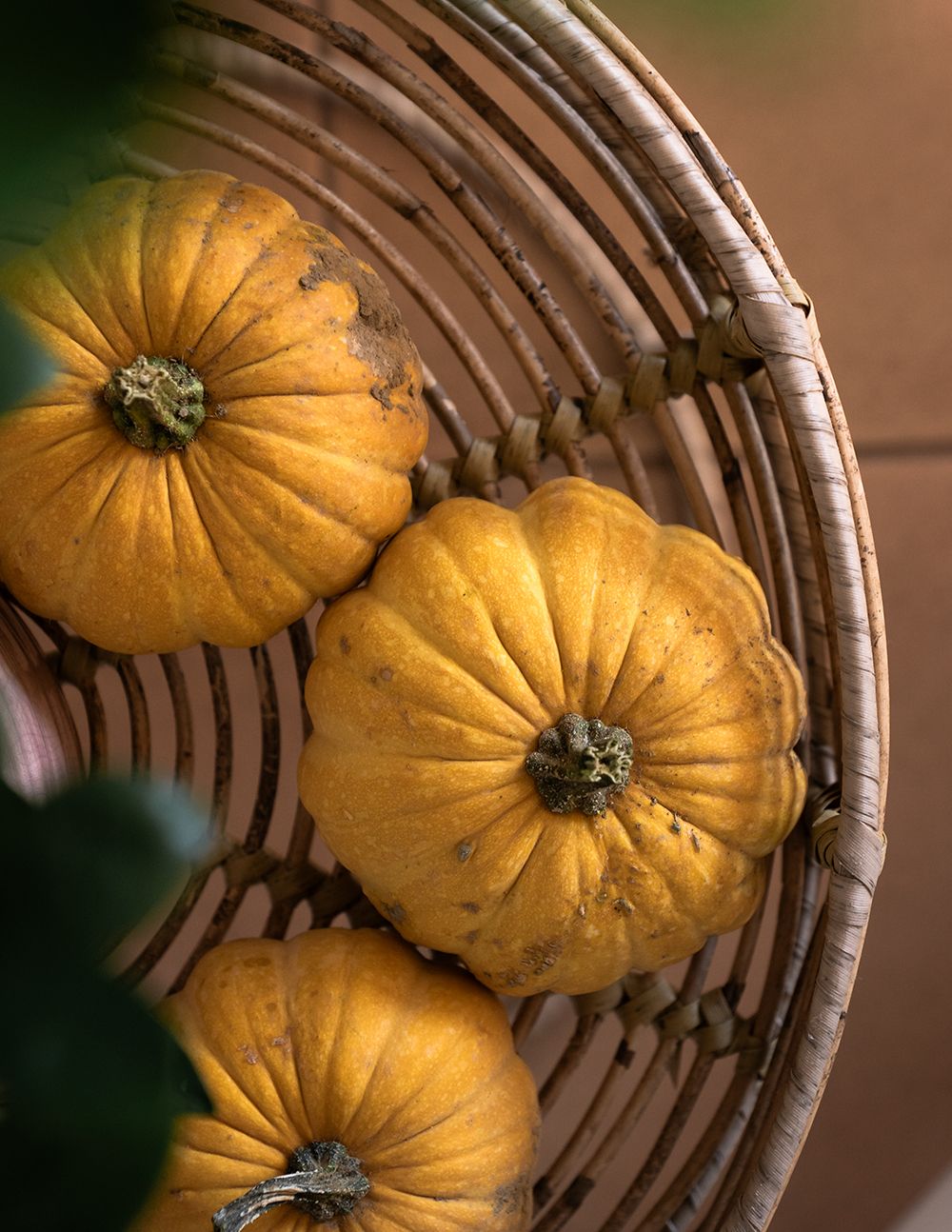 Kürbis-Chai-Cupcakes - Stina Spiegelberg