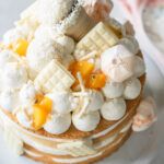 Pfirsich-Maracuja-Torte_vegan_veganpassion_stina_spiegelberg