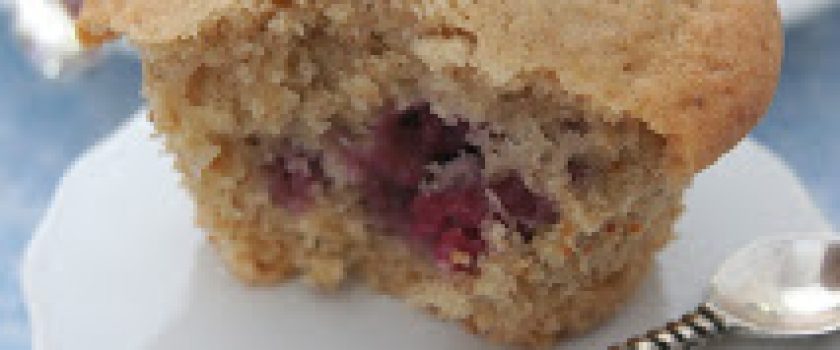 Orangen-Kirsch-Muffins - Stina Spiegelberg
